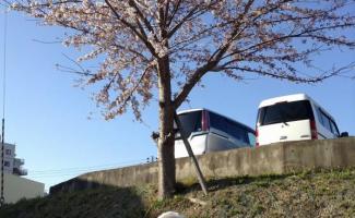 気持ちいいねえ。綺麗だね(^^♪