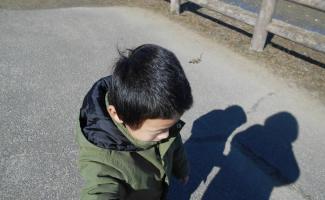 お散歩楽しいな♪