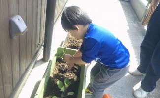 美味しい野菜に育ってね！