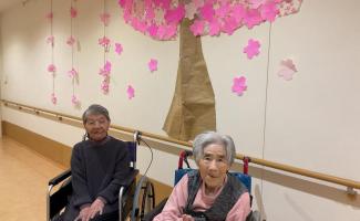 大きな桜の木🌸