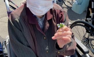 可愛いお花、発見！！