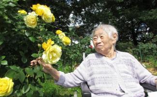 大きなバラに驚きです。