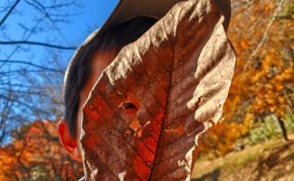 落ち葉のお面ですね🍂